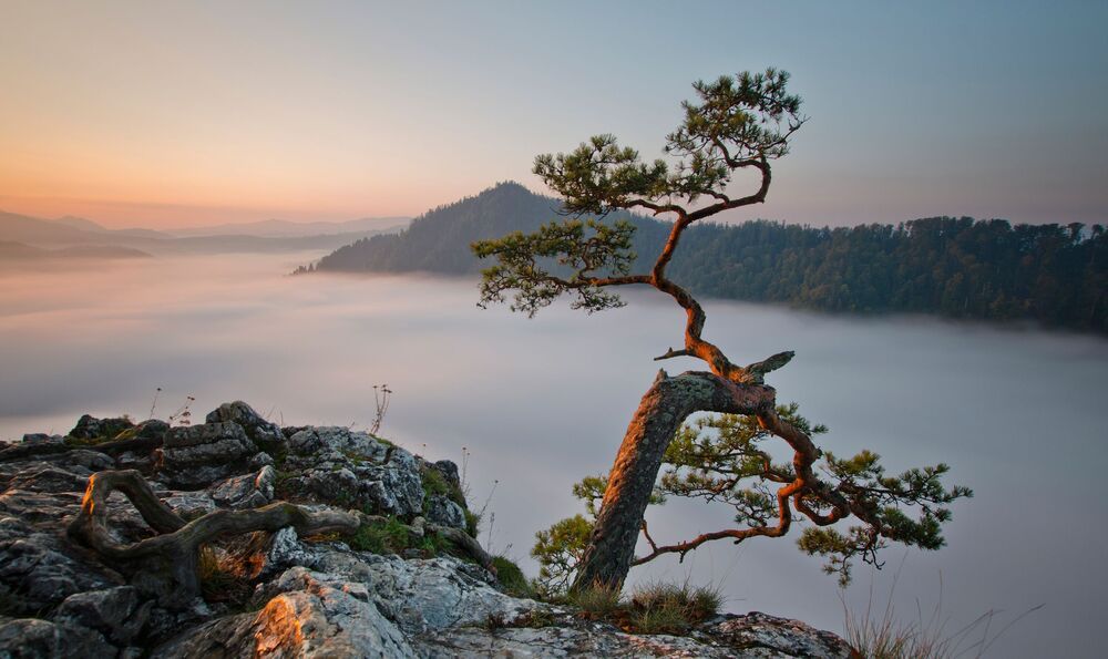 Notification Marcin Grzegorczyn