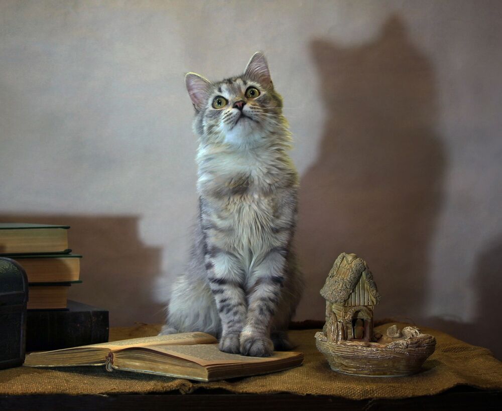 И скоро буду кот ученый!
