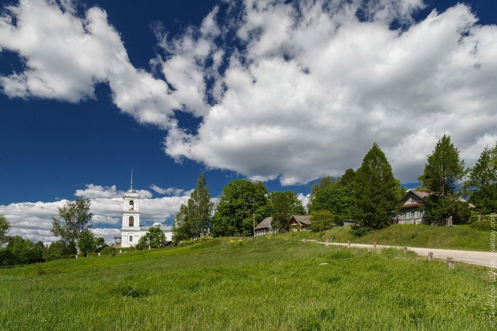 Несколько летних пейзажей