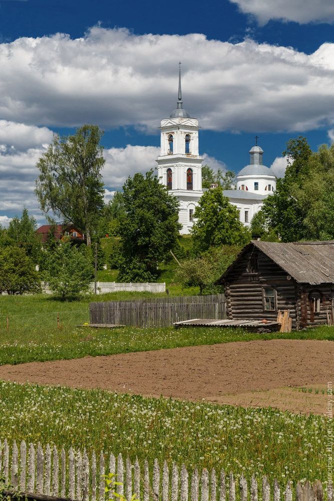 Несколько летних пейзажей