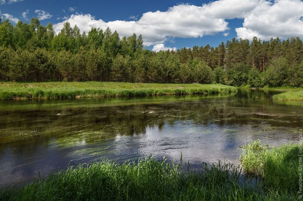 Несколько летних пейзажей