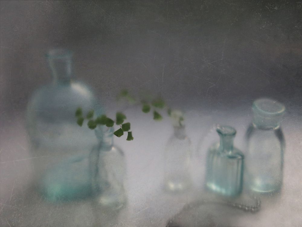 Photo 1492037