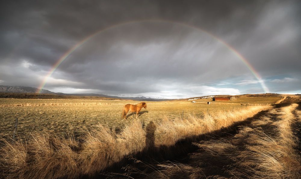 Iceland