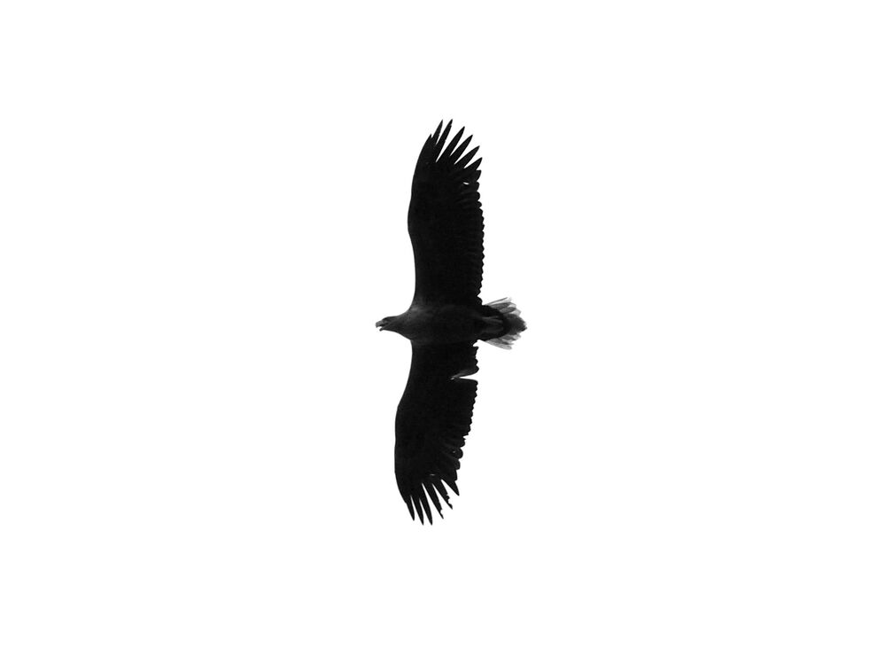 Photo 1493023