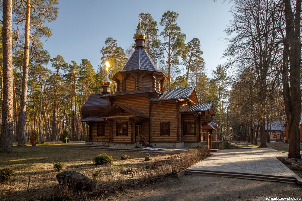 Алексин. Царевиче-Алексиевский храм.
