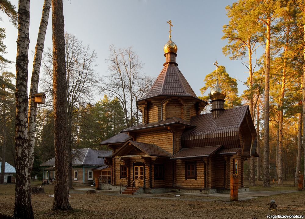 Алексин. Царевиче-Алексиевский храм.