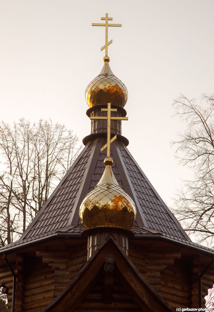 Алексин. Царевиче-Алексиевский храм.