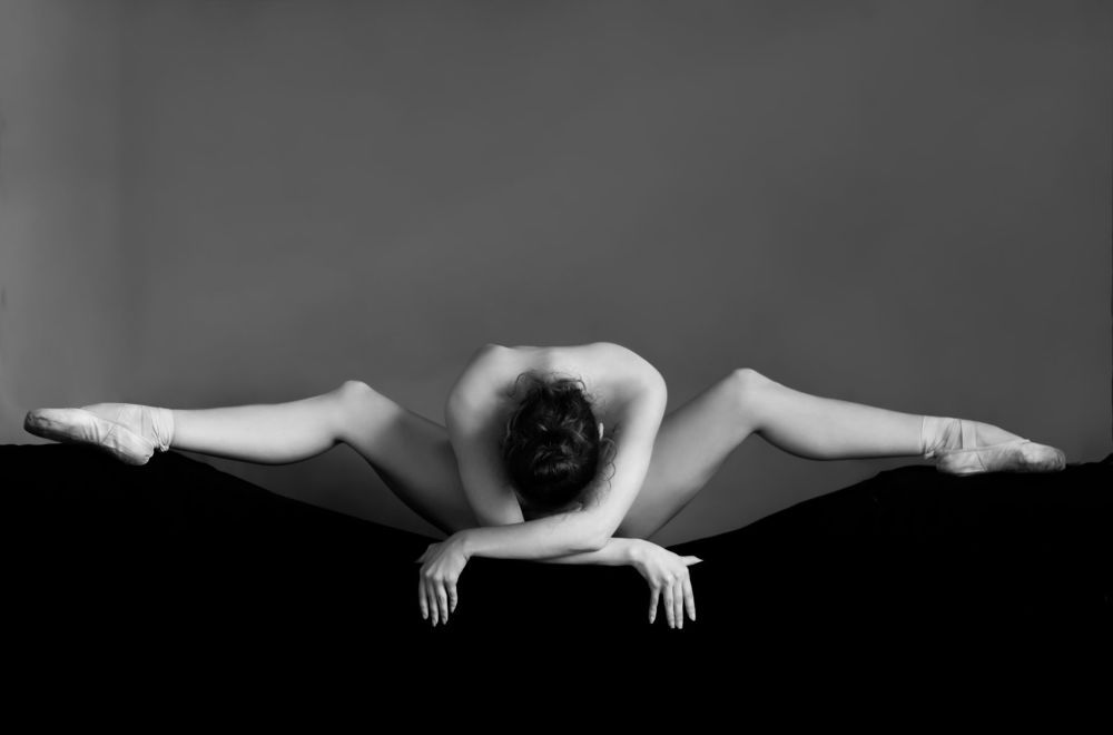 Photo 1493698