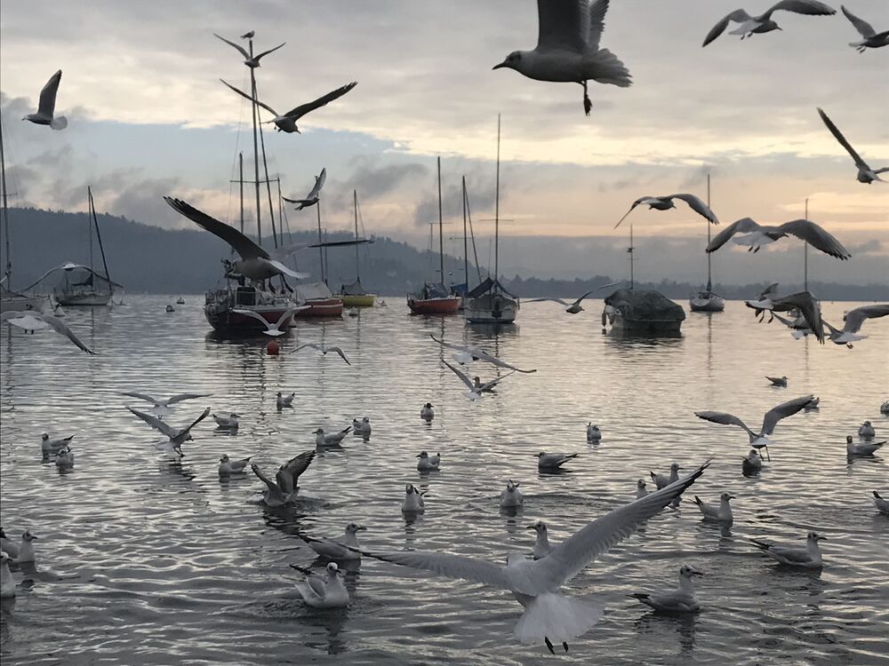 Photo 1493729
