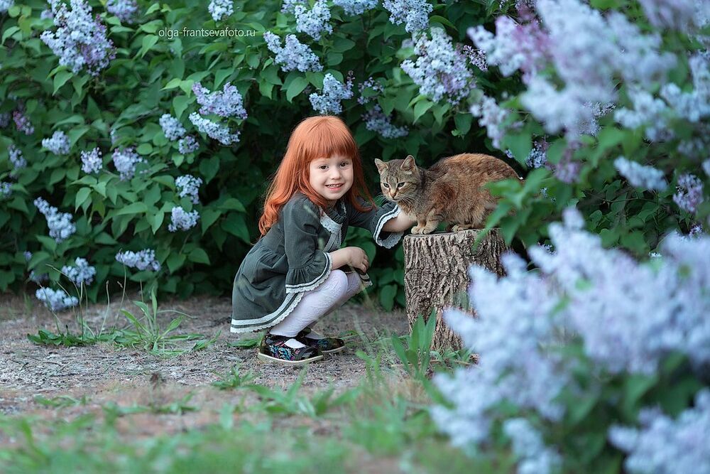 Кот и рыжик