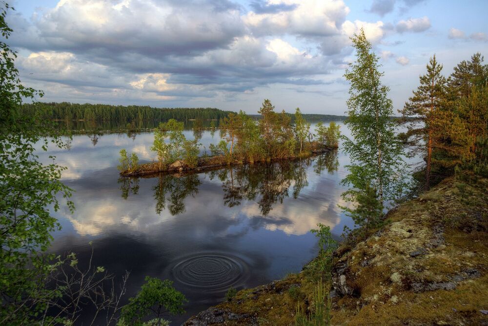 Голубоглазые островитяне
