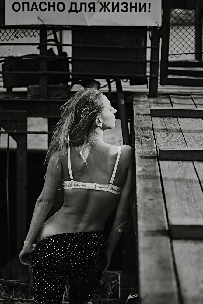 Photo 1495281