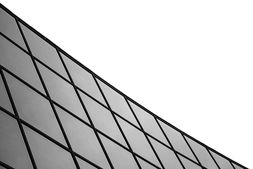 Photo 1496195