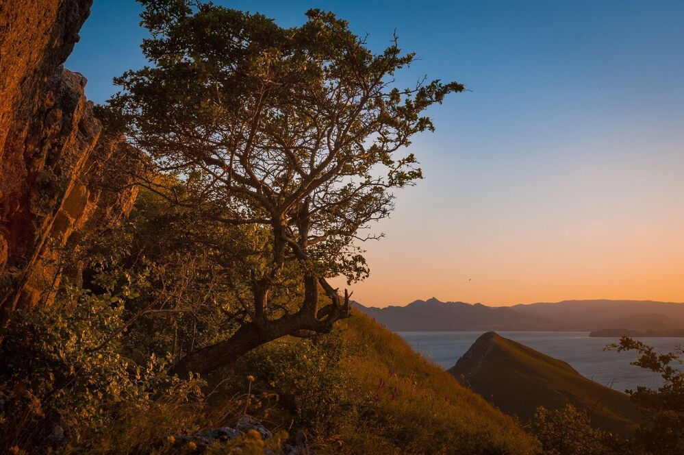 Фотосерия из Крыма