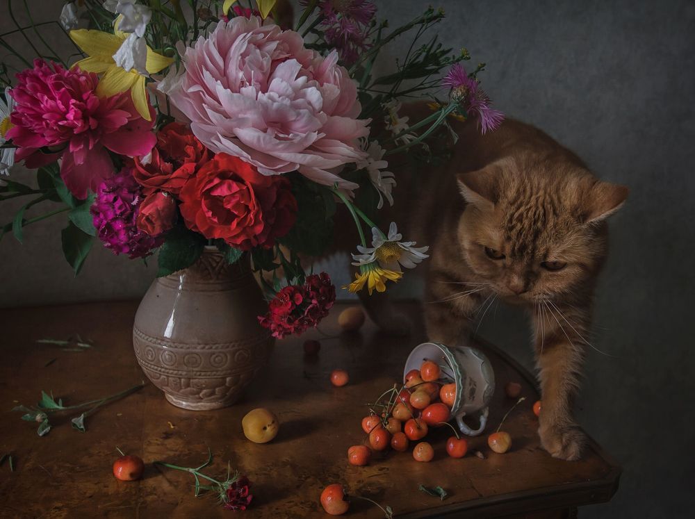 Кот и букет