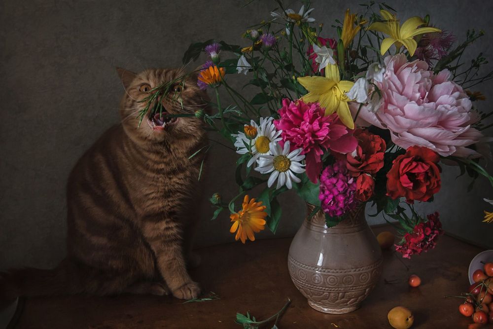 Кот и букет