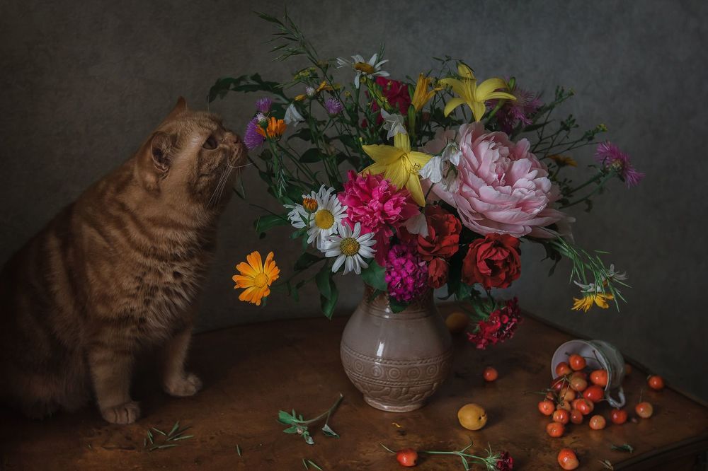 Кот и букет