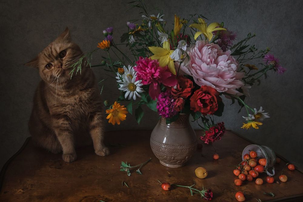 Кот и букет