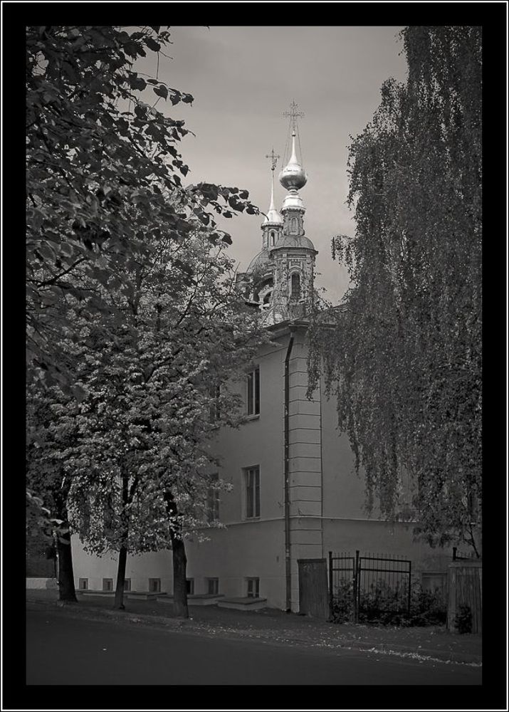 Владимирская сепия...