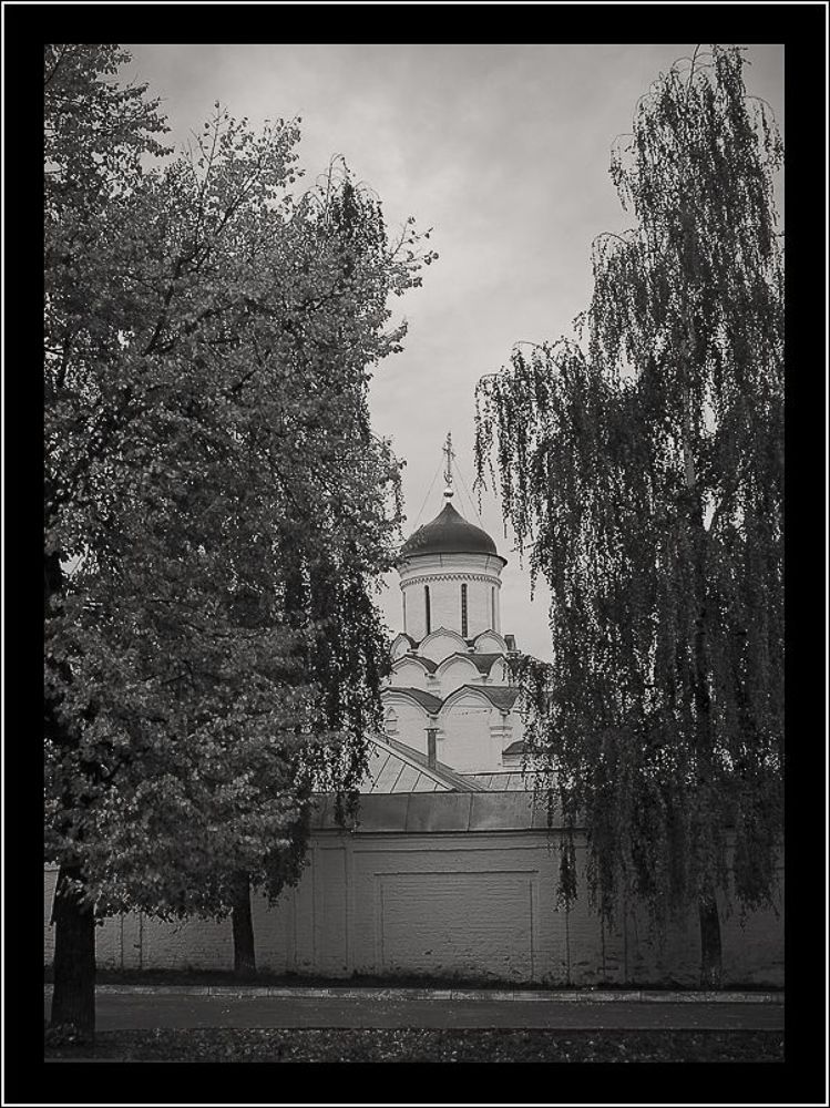 Владимирская сепия...