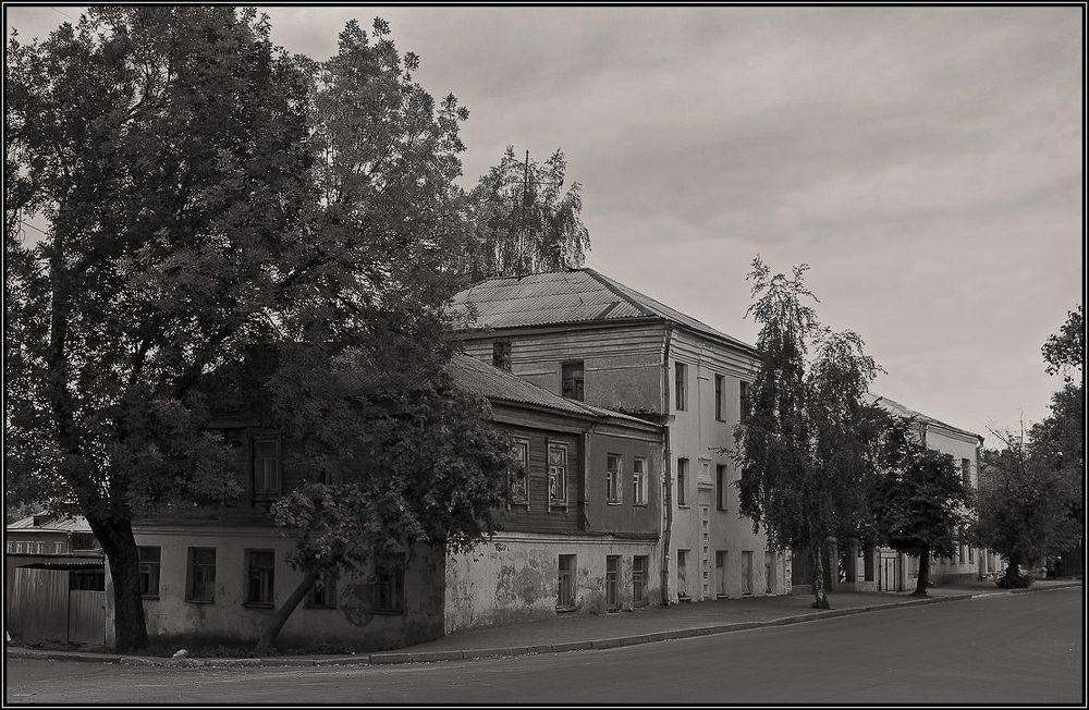 Владимирская сепия...