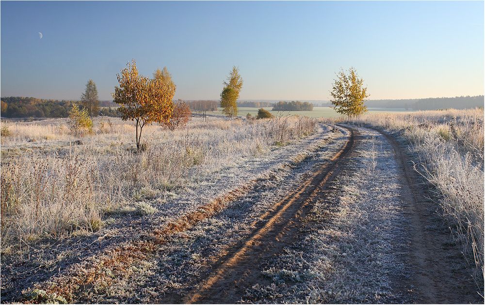 Предзимний рассвет