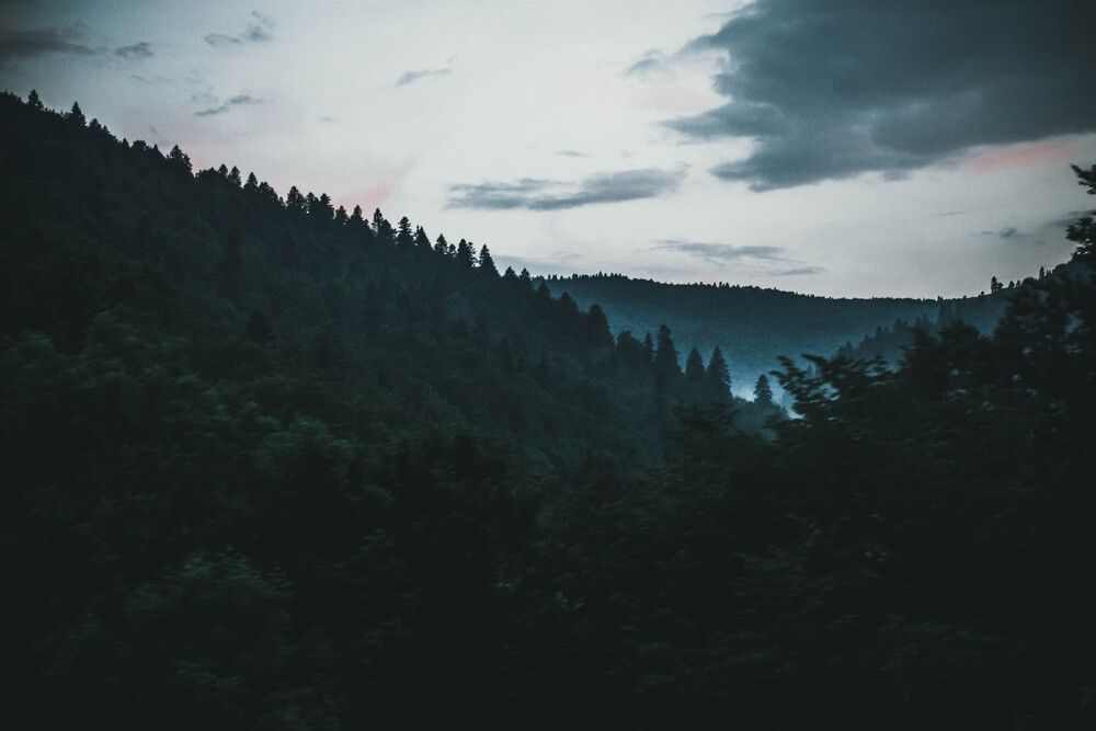 Румыния