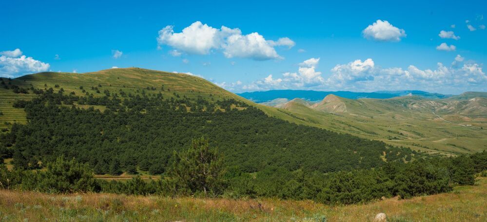 Крым (фото из архива)