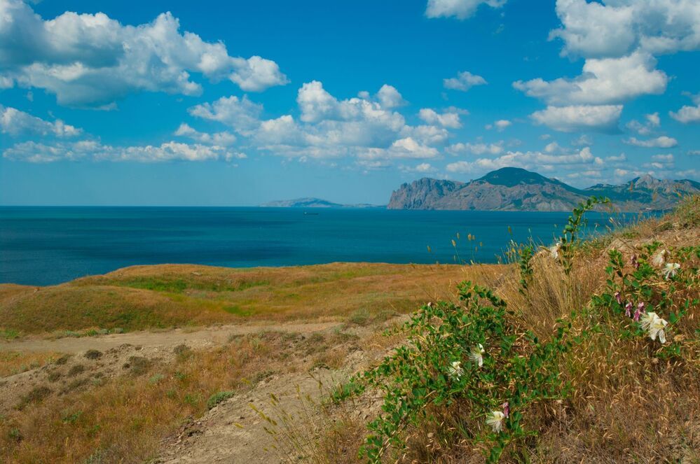 Крым (фото из архива)