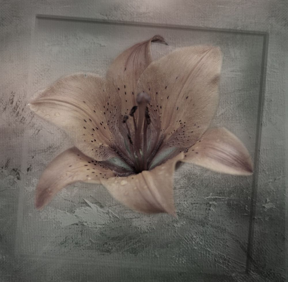 Photo 1504043