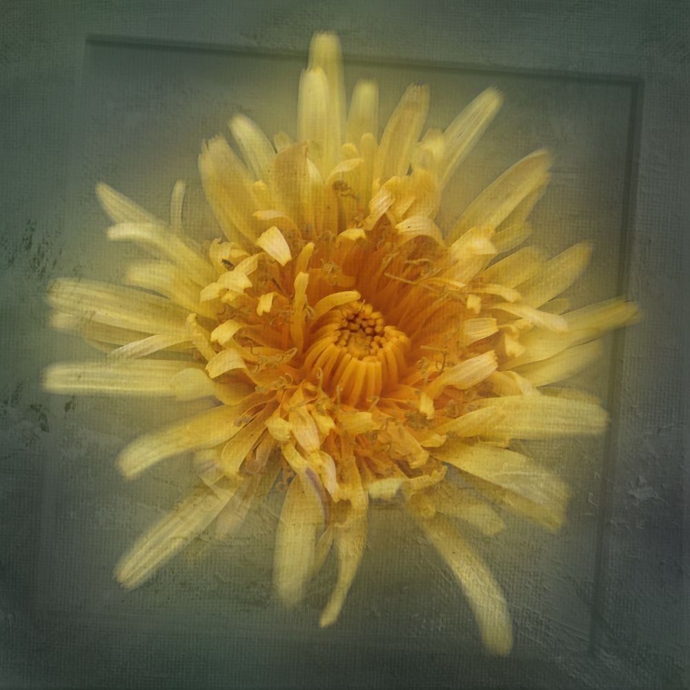 Photo 1504044