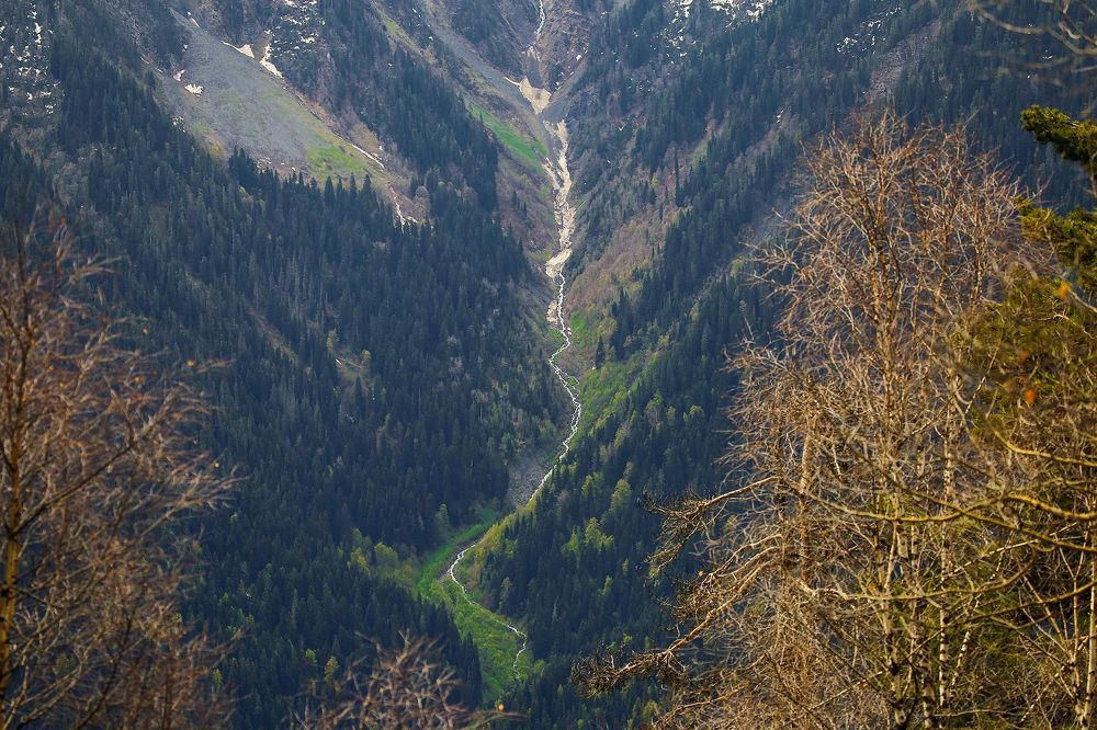 Stories from above