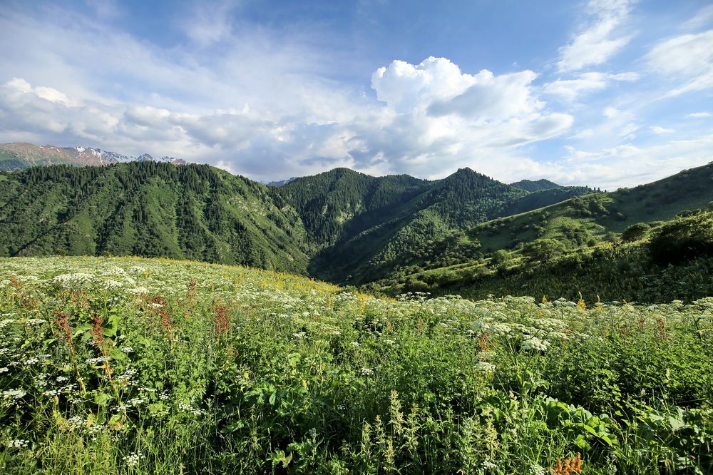 Заилийский Алатау - левый Талгар