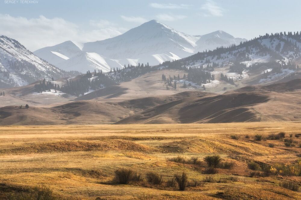 Предместье реки Текес
