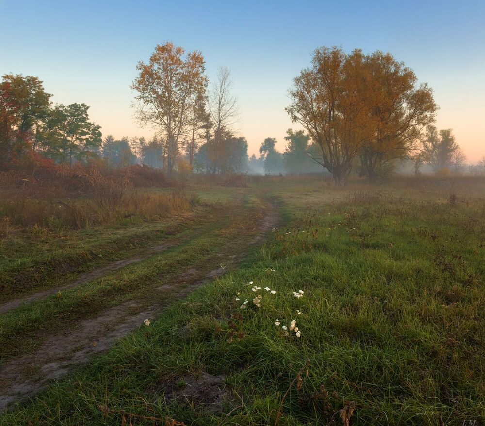 в золотое утро ..