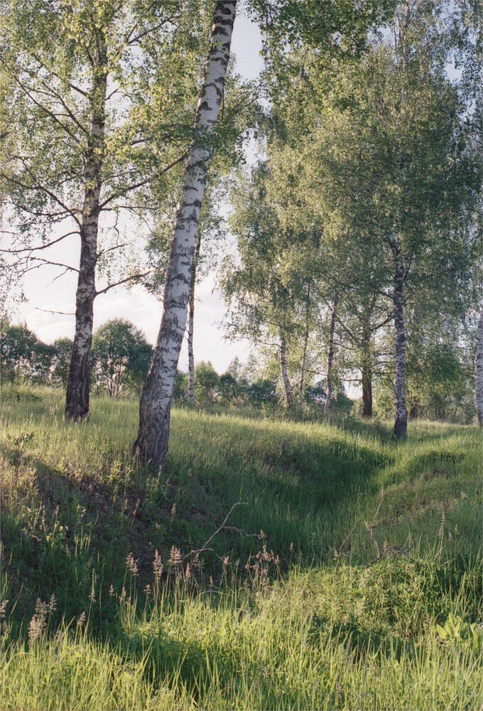 Солнечная плёнка.