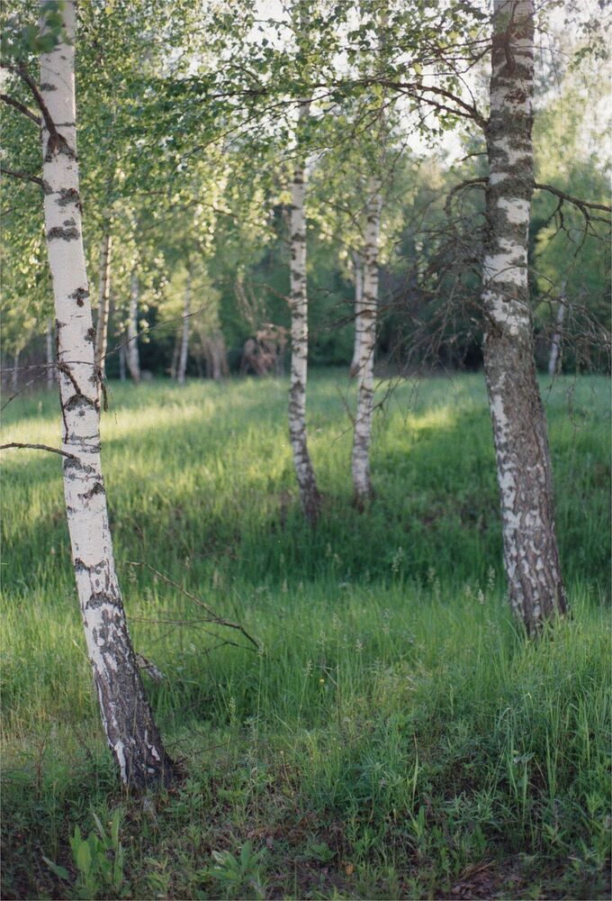 Солнечная плёнка.