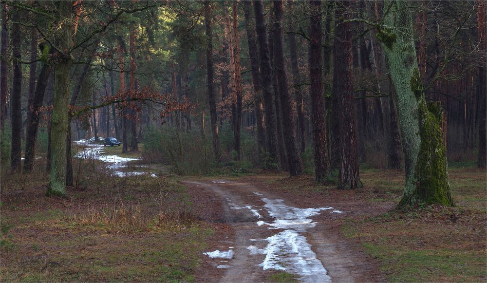 первое января...