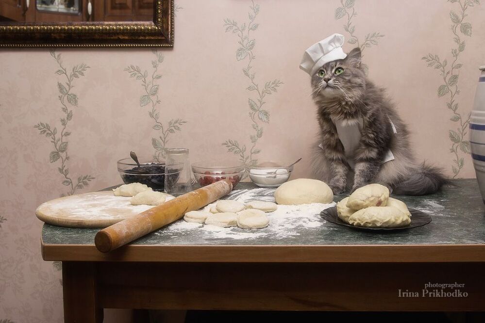 - Ну, и кому тут мои вареники не по вкусу?
