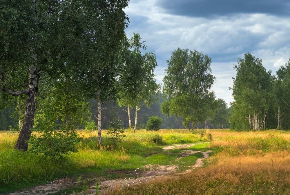 Нет суеты, лишь тишина в своей доступной простоте