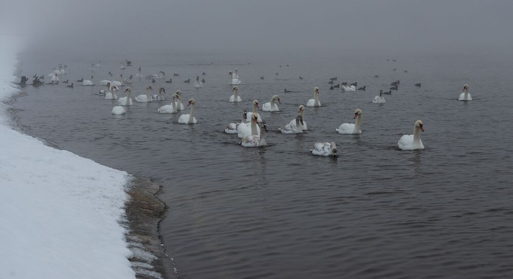 на Нетишинском водохранилище..