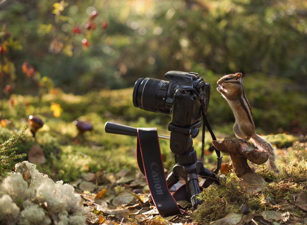 Приготовились..Улыбочку!