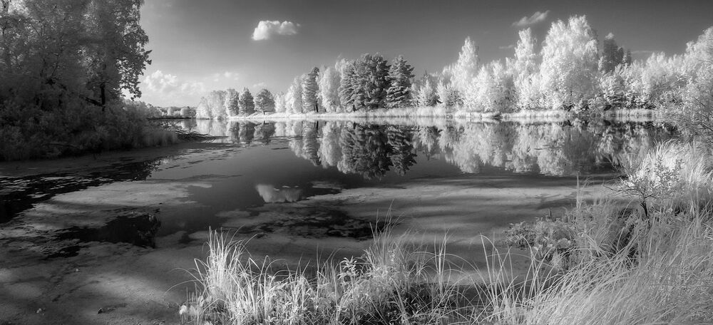 Photo 1512460