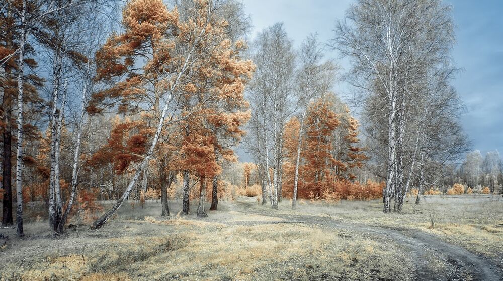 Photo 1512463