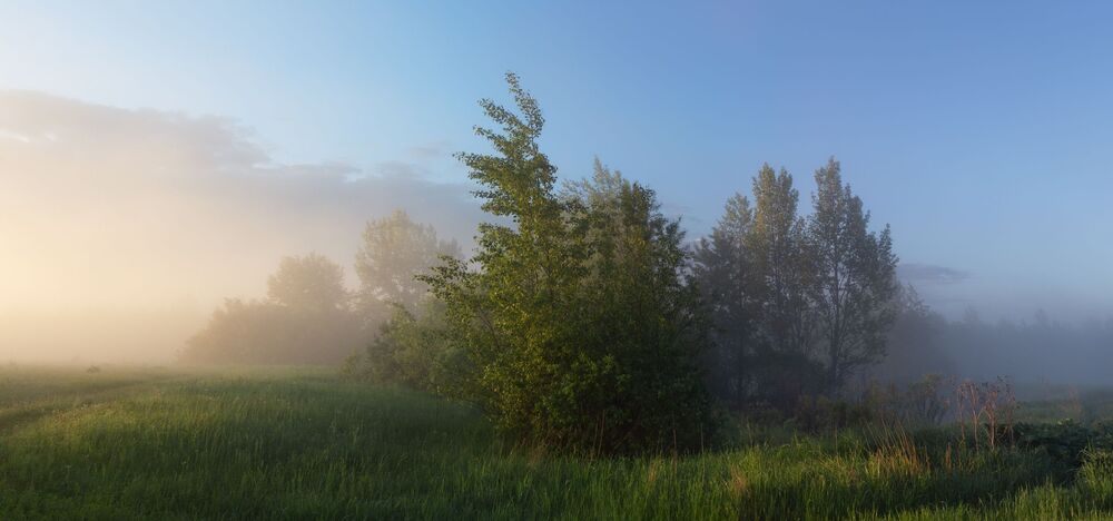 Photo 1512466