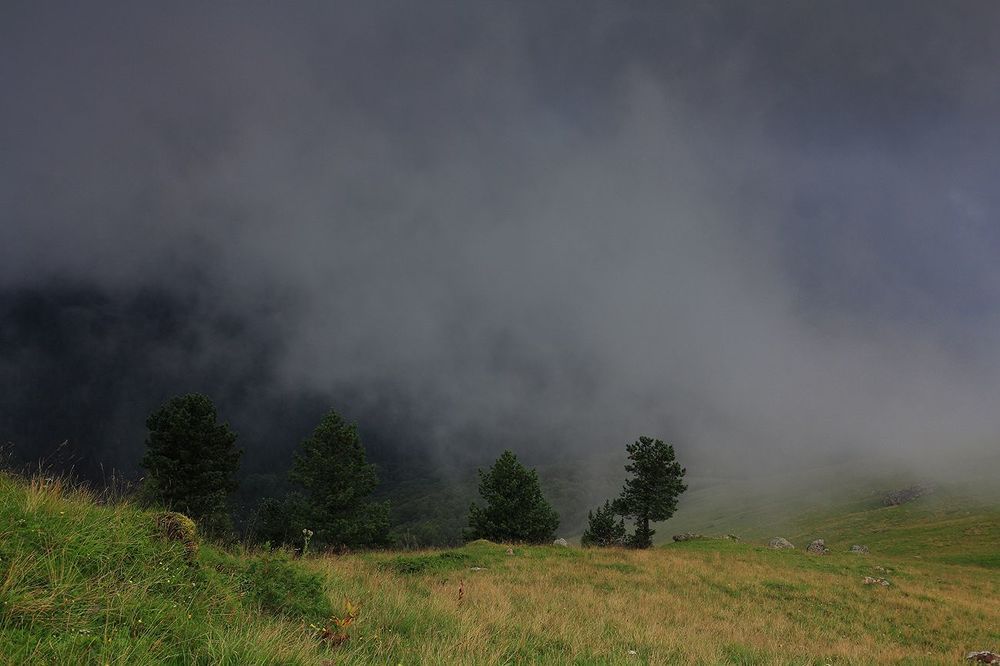 Photo 1514589