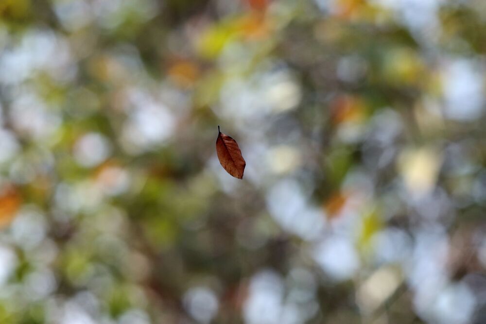 Falling