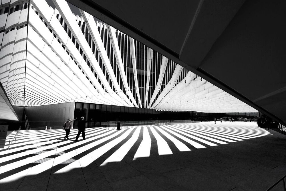 The building and the shadows