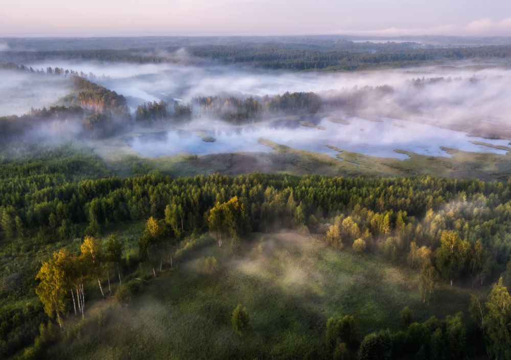 Дачные зарисовки. Болота Ярославской области.
