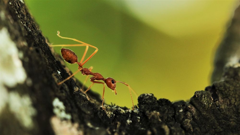 VIVEK JOSHI PHOTOGRAPHY